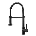 Matte Black Kitchen Faucet